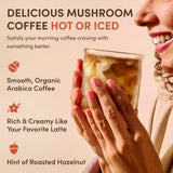 Mushroom Coffee Daily Extra