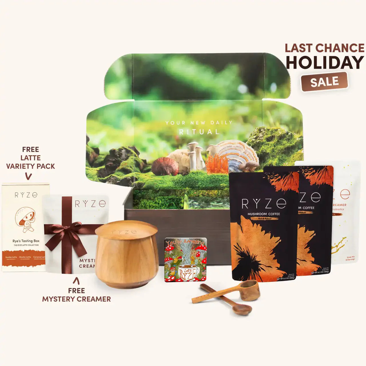 Mushroom Coffee Daily Extra