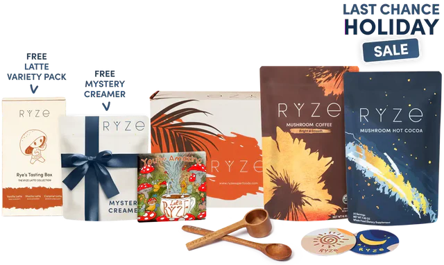Day Night Bundle Bright