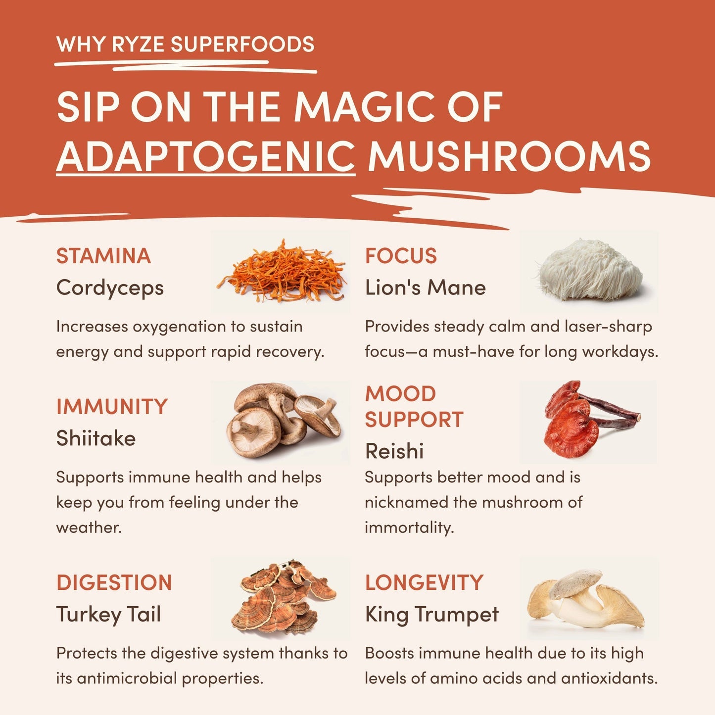 Superfood Creamer Smooth