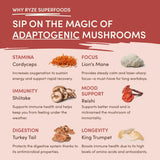 Mushroom Chai Prime
